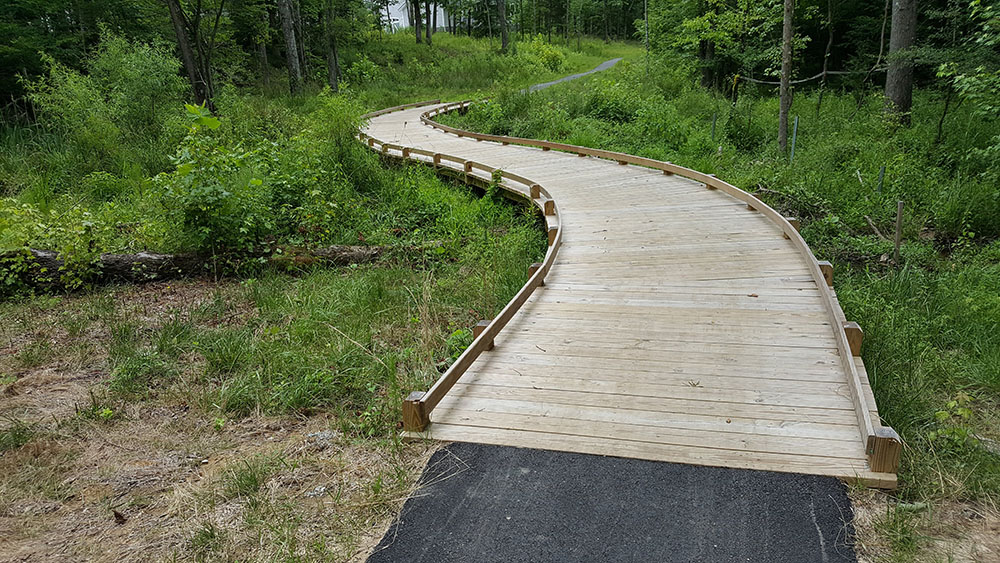Wooden Walking Path - 5 200 dpi